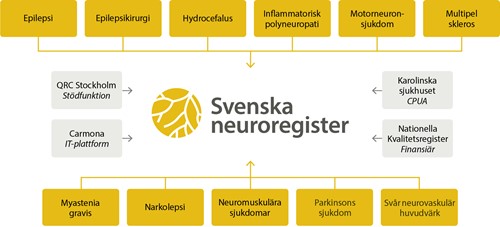 Organisationsschema Svenska neuroregister